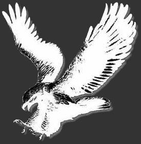 Sojourners Eagle